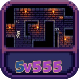 5v555